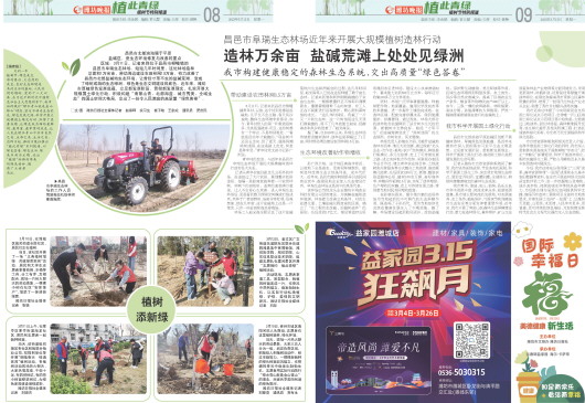 ****处理标记：[page]时， 字段 [] 在数据源中没有找到! ****